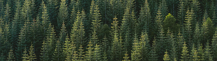 Environment